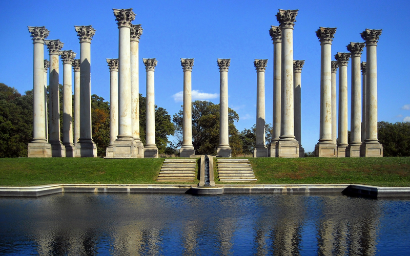 6 Surprising Things to Do at the National Arboretum DC Fray