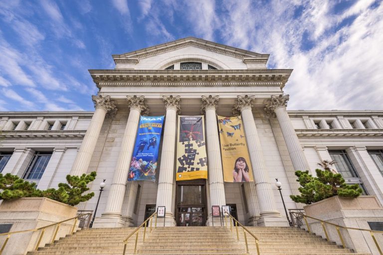 National Museum Of American History DC Fray   National Museum Of American History 768x512 